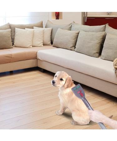 Penn-Plax VacGroom Pet Grooming Vacuum Attachment Kit - Ideal for Dogs, Cats, and Furniture - Buy Online on GoSupps.com