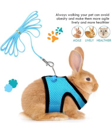 2 Pieces Guinea Pig Clothes Baby Ferret Rats Hamster Soft Mesh Harness Leash Vest Set with Bell for Guinea Pigs Hamster Ferret Rabbit Chinchilla and Similar Small Animals Small Blue Black - Buy Online on GoSupps.com