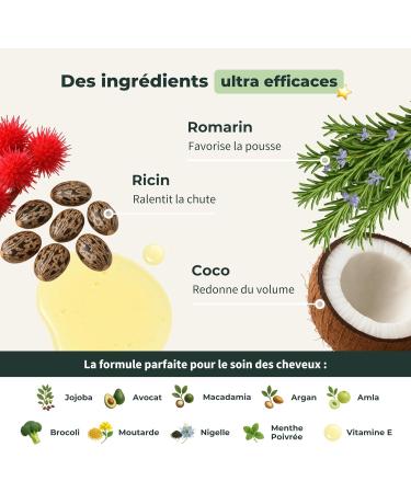  BIONOBLE BIONOBLE Rosemary Oil for Hair Growth - Promotes Growth and Slows Down - Rosemary Castor Argan and Jojoba Essential Oil - R - Buy Online on GoSupps.com