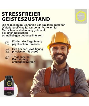 Buy St. John's Wort & Rhodiola Rosea 10:1 Extract | 60 Daily Doses | Natural Mood Lifter | Synergy Nutritung - International Shipping Available - Buy Online on GoSupps.com