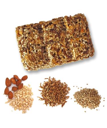 Buy Bug-Break Insect Bars - 3x36g Energy Bars with Edible Insects | Sustainable Protein Snack - Buy Online on GoSupps.com
