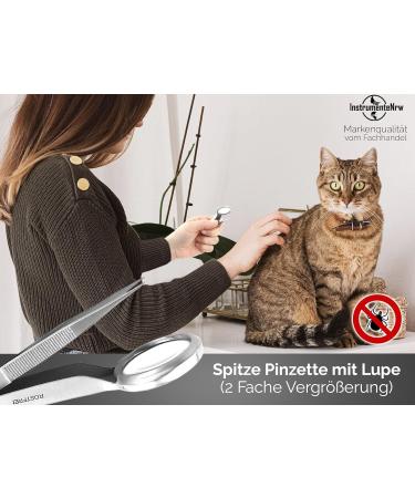 Premium Stainless Steel Tweezers with Magnifying Glass Point - Precision Eyebrow & Craft Tool for International Shipping - Buy Online on GoSupps.com