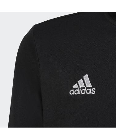 Adidas Unisex Kids Entrada 22 Sweatshirt - Comfortable & Stylish 164 Royblu | Shop Internationally at Your Store Name  - Buy Online on GoSupps.com