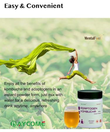 MentalFuel Adaptogen Kombucha Instant Powder - 40 Servings Sparkling Fermented Kombucha Drink with Adaptogen Blends Energy Focus Stress Relief Ashwagandha Rhodiola Reishi Ginseng and Maca Digestion & Immunity Gut-Brain Health Anti-oxidation Low Caffeine N - Buy Online on GoSupps.com