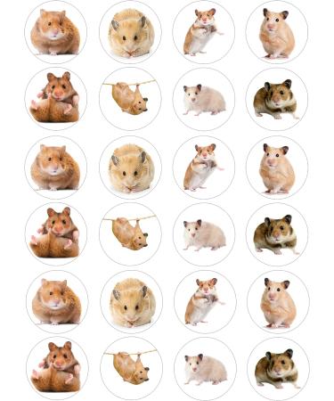 The Cake Decorators Boutique 24 edible PRE CUT Hamster Hamster kids childrens party cake decorations Cupcake Cake Toppers on Wafer 4.2cm - Buy Online on GoSupps.com