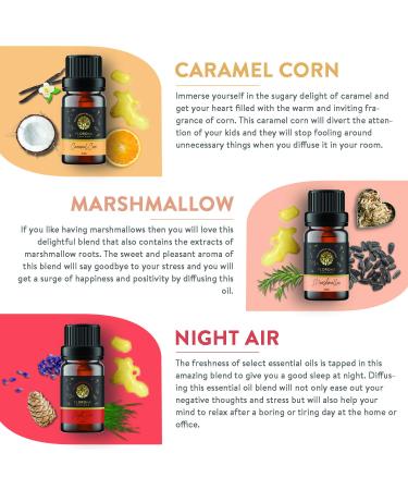 Florona Halloween Fragrance Oil Gift Set - 6 Scents for Aromatherapy - 1 fl oz each - Autumn Wreath, Pumpkin Pie, Candy Corn, Marshmallow, Night Air, Caramel Corn - Buy Online on GoSupps.com