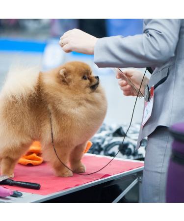 Chris Christensen 7.5 Inch Butter Comb Metallic - Fine/Coarse - Buy Online on GoSupps.com