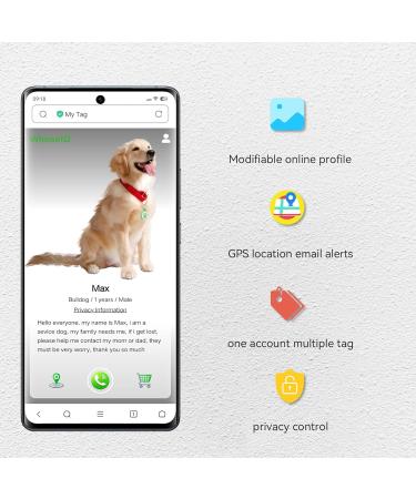 Whoseid QR Code Cat Tag - Modifiable Pet Profile with Emergency Contacts & Location Alerts | Collar Accessory for Medium to Large Breeds - Buy Online on GoSupps.com