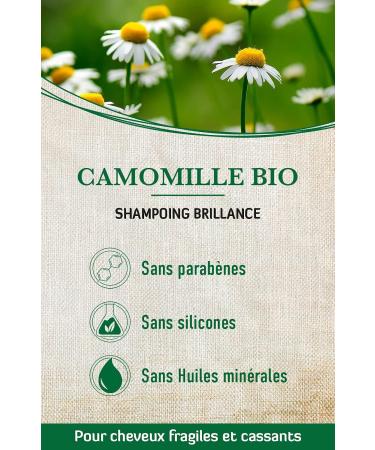 alkmene Organic Chamomile Shampoo - Shampoo for Dull and Brittle Hair - Plant-Based Anti-Breakage Shampoo Without Silicones Parabens Mineral Oils SLS and SLES (1x 250 ml) - Buy Online on GoSupps.com