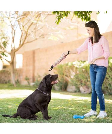 Adacle 2-Piece Bite Sausage for Dogs - Jute Tug Toy with Handles for K9 Training & Obedience - Perfect for Dog Sports & Protection - Buy Online on GoSupps.com