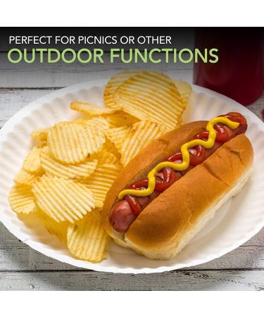 Stock Your Home 9-Inch Uncoated Paper Plates - 500 Count White Disposable Plates - Buy Online on GoSupps.com