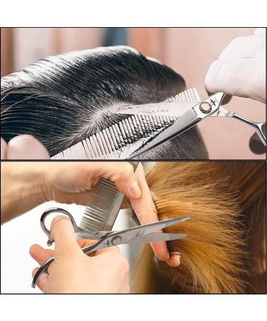 PURPLEBIRD 6 Inch Hairdressing Scissors - Professional Barber Shears with Ball Bearing Tension System - Japanese Stainless Steel - for Men, Women, and Kids - Silver Straight Design - Buy Online on GoSupps.com