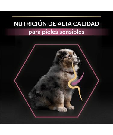 Purina Proplan Medium Puppy Derma cahorro salmon Pack of 1 x 3kg Total 3kg - Buy Online on GoSupps.com