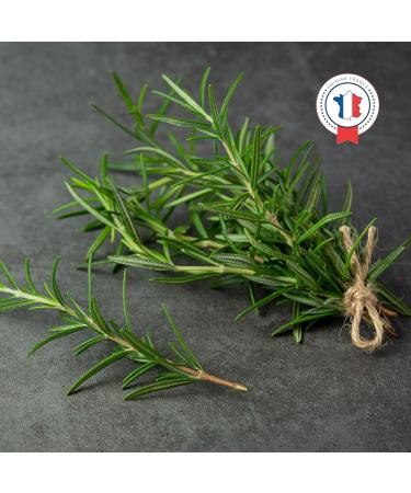 Ascenbio - 100% PUR Organic French Provence dried rosemary - 180g bulk - Spice and herb - prepared and packaged in France - b - Buy Online on GoSupps.com