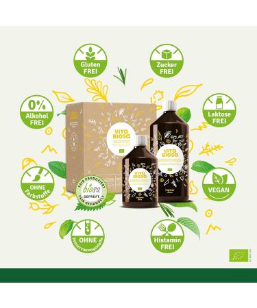 Buy Vita Biosa Ginger + Vitamin C 1L - Organic Fermented Drink with Extra Ginger for Refreshing Flavor - Probiotic Health Beverage - Buy Online on GoSupps.com