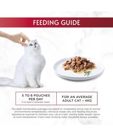 Gourmet Mon Petit Intense Tuna Salmon and Trout Adult Wet Cat Food 6x50g Pack of 8 - Buy Online on GoSupps.com