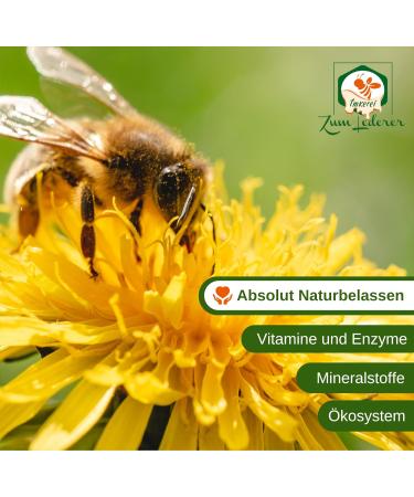 German Blossom Honey - 500g Liquid Honey from Bavarian Forest | Pure Additive-Free Honey by Zum Lederer - Buy Online on GoSupps.com