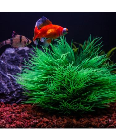 TAOMYPETS Plastic Aquarium Plants - Coral Reef Ornaments for Fish Tanks | Green Aquarium Decor for Vibrant Aquatic Life - Buy Online on GoSupps.com
