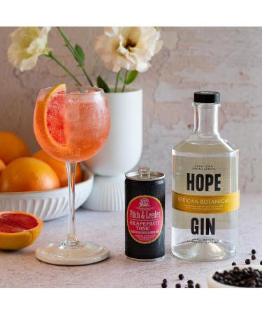 Fitch & Leedes Pink Grapefruit Tonic Water 4 x 200 ml in South Africa / Great Gin Companion Spicy Injectable Elegant (Sin - Buy Online on GoSupps.com
