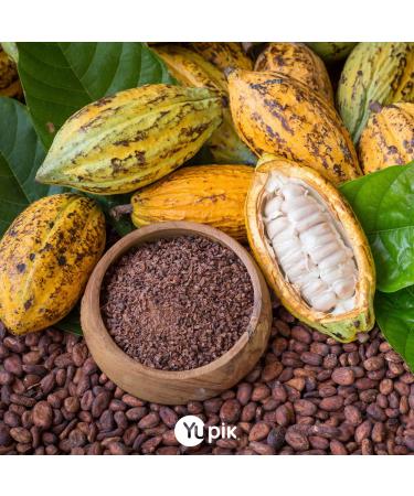 Yupik Organic Raw Cacao Powder 1 kg 6 Count Gluten-Free GMO-Free Kosher Vegan Dairy-Free No Added Sugar Made from Raw Cacao Beans Rich Chocolate Flavor Ideal for Baking & Beverages 6 kg - Buy Online on GoSupps.com