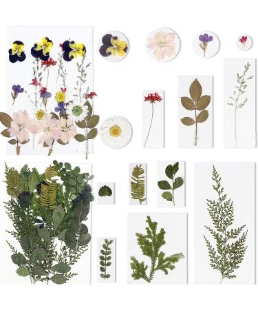 Bihrtc 100pcs Dried Flowers for Resin - Real Sunflowers, Chrysanthemums, Daisies - Colorful Pressed Flowers for Candle, Jewelry, Nail, Pendant Making - Buy Online on GoSupps.com