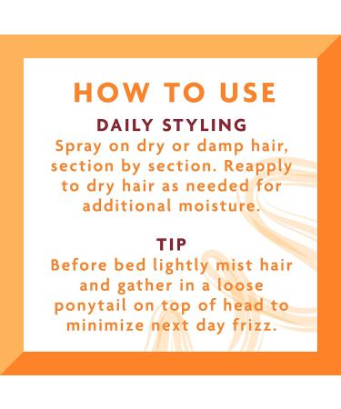 Cantu Comeback Next Day Curl Revitalizer 12 Fluid Ounce (Pack of 2) 12 Fl Oz (Pack of 2) - Buy Online on GoSupps.com