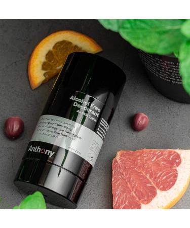 Anthony Shower Sheets 12 Single Pack Sheets Alcohol Free Deodorant 2.5 Fl Oz - Buy Online on GoSupps.com