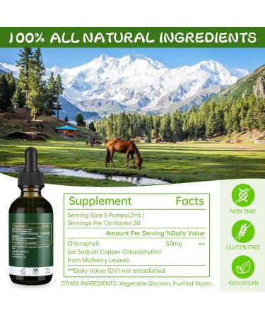 Chlorophyll Liquid Drops 2 fl oz - 2 Pack (Old Packaging) | Natural Supplement for Detox & Digestion - Buy Online on GoSupps.com