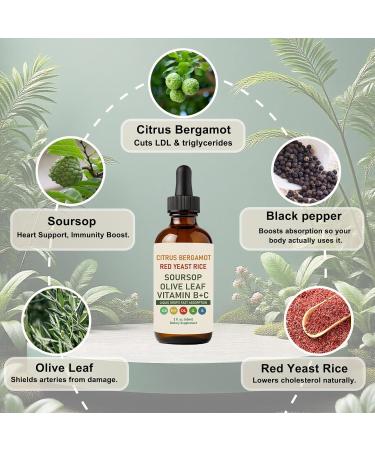 RESONA Citrus Bergamot Red Yeast Rice Cleanse Liquid Drops Cholesterol Support Blend with Red Yeast Rice Bergamot Soursop & Olive Leaf Vitamin B+C Natural Non-GMO Vegan 1 - Buy Online on GoSupps.com