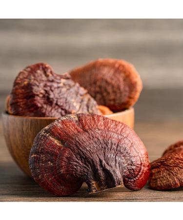 Earthborn Elements Reishi Mushroom 200 Capsules Pure & Undiluted No Additives 200 Count (Pack of 1) - Buy Online on GoSupps.com