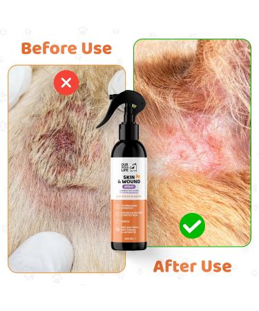 DogsLife Wound & Skin Antiseptic Spray 250ml - Antibacterial & Antifungal Relief for Itchy Dog Skin - Hypochlorous Acid First Aid for Dogs & Puppies - Buy Online on GoSupps.com