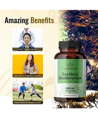 HERBAMAMA Sea Moss Capsules - Organic Irish Sea Moss Bladderwrack Supplement - 100 Vegetarian Capsules for Immunity, Thyroid, Digestive Health & Joint Support - Non-GMO Superfood (1 Pack) - Buy Online on GoSupps.com