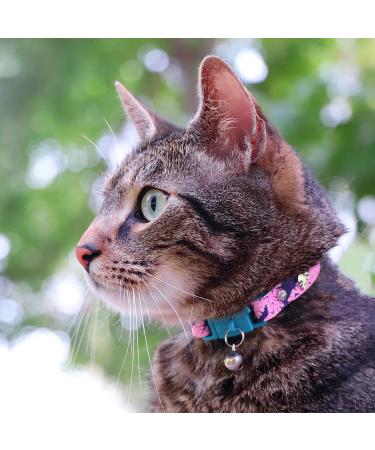 Kittyrama Botanical Collars for Cats & Kittens - Hypoallergenic Breakaway Veterinarian Approved | Comfort & Style for Your Feline Friends - Buy Online on GoSupps.com