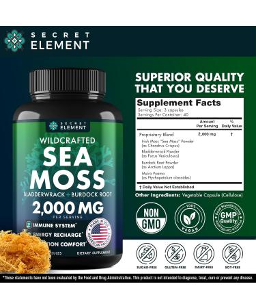 Sea Moss Bundle Wildcrafted Irish Sea Moss Capsules with Burdock Root Bladderwrack Muira Puama + Seamoss Black Seed Oil Ashwagandha & Ginger 360 Vegan Capsules - Buy Online on GoSupps.com