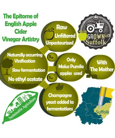 Organic Apple Cider Vinegar Capsules with Turmeric, Ginger, Pepper & Berries | High Strength Bio Cultures | Vegan | 1 Bottle - Buy Online on GoSupps.com
