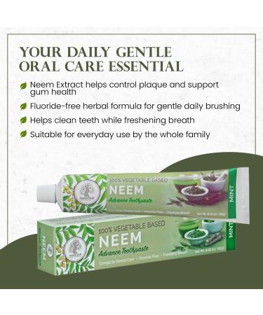 Madina Neem Advance Toothpaste 6 Pack, Natural Oral Care, Herbal Toothpaste, Antibacterial, Antifungal, Plaque Control, Breath Freshening, Daily Use, Oral Hygiene, 6.42 oz Each 1.17 Ounce (Pack of 6) - Buy Online on GoSupps.com