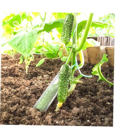 SUPVOX 4pcs Shaped Cucumbers Cucumber Shaping Vegetable Growing Tools Ginseng Fruit Candy - Buy Online on GoSupps.com