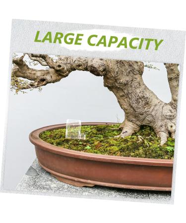 BESPORTBLE 2pcs Pet Water Feeder Ants Feeding Bowl Ants Nest Water Feeder Ants Water Feeding Plastic - Buy Online on GoSupps.com