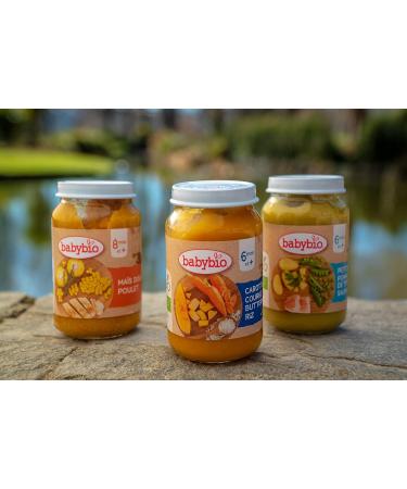Babybio - Bonne Nuit - Small Pots Carrot Landes Butternut Rice 2x200g - PACK of 6 - 6 Months - ORGANIC - Buy Online on GoSupps.com