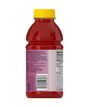 V8 Splash Berry Blend Juice Beverage 16oz Bottle (Pack of 12) - Refreshing Fruit Flavor - Buy Online on GoSupps.com