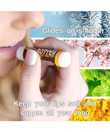 Nature's Bees Cocoa Butter Lip Balm Shea Butter Flavor Hydrating Lip Care for Dry Lips Made in the USA with Coconut Oil Beeswax Vitamin E & Aloe 0.15 oz Each 24 Pack - Packaging May Vary Shea Butter 24 Pack - Buy Online on GoSupps.com