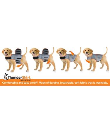 Thundershirt Dog Anxiety Jacket - Fuchsia XXS | Best Relief for Dog Anxiety - International Shipping - Buy Online on GoSupps.com