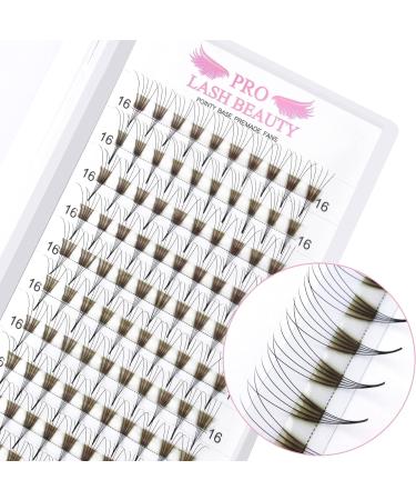 7D-C-0.07-12 Pointy Base Pre Made Fan Eyelash Extensions 12mm - Russian Volume Lashes C D Curl - 0.05 0.07 0.10 - Buy Online on GoSupps.com