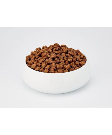 Premium Grain-Free Salmon Cat Food - Venandi Animal - 1.5kg Dry Food with Fresh Fish - 1 Pack - Buy Online on GoSupps.com