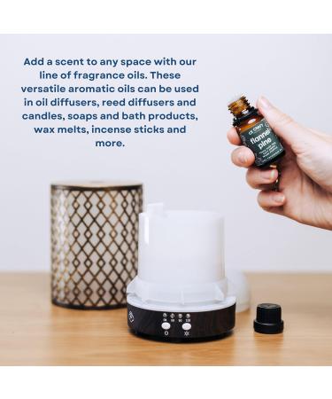 CE Craft Premium Fragrance Oil for Diffusers - Teakwood & Mahogany Apple & Mahogany - Essential Oil Blends for Home Candle & Soap Making Aromatherapy - 10 ml Each - Buy Online on GoSupps.com