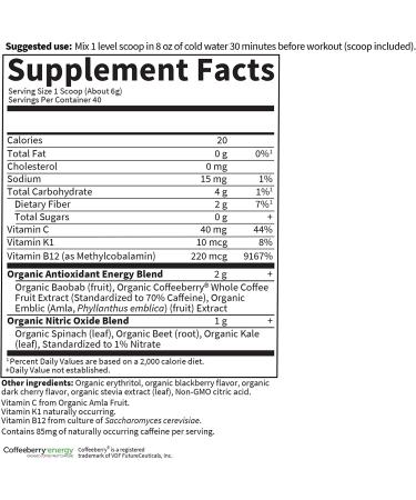 Garden of Life Sport Organic Vegan Pre Workout - Blackberry Cherry - 40 Servings | Plant-Based Energy & Focus - Buy Online on GoSupps.com