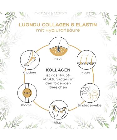 LUONDU Collagen Powder with Elastin Hyaluronic Acid & Vitamin C - Bioactive Hydrolysate Peptides Types I II & III - Optimal Solubility & Bioavailability - 500g - Buy Online on GoSupps.com