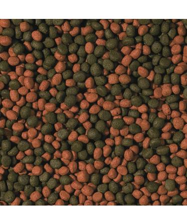 Cichlid Omnivore Medium Pellet 5L / 1.8kg - for Large and Medium Sized Omnivorous Cichlids - Buy Online on GoSupps.com