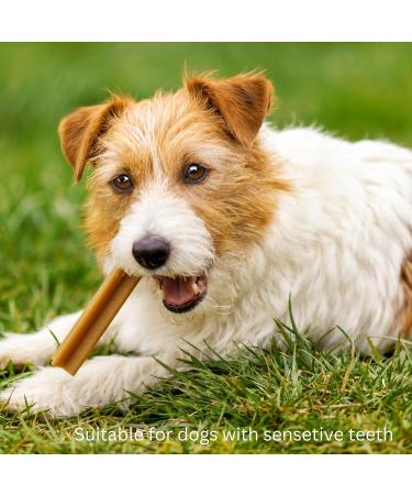 Pets Unlimited Steak Fillet Dog Treat | A premium meaty treat 100% natural with no artificial Colours flavours or preservatives | Rawhide Free Dog Treats | 84% Duck & Fish - Buy Online on GoSupps.com