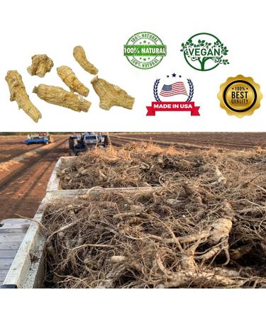 American Wisconsin Farmed Ginseng Root Cultivated Wisconsin American Ginseng Energy for Men & Women 4oz/Box 4OZ - Wild Ginseng Root - Buy Online on GoSupps.com